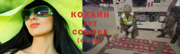амф Абинск